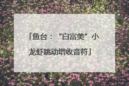 鱼台：“白富美”小龙虾跳动增收音符