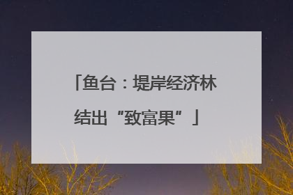鱼台：堤岸经济林结出“致富果”