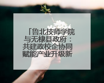 鲁北技师学院与无棣县政府：共建政校企协同赋能产业升级新范式