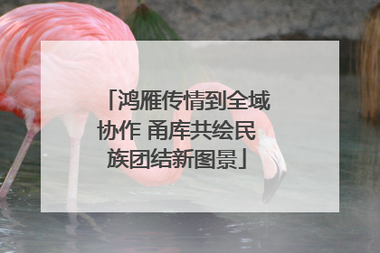鸿雁传情到全域协作 甬库共绘民族团结新图景