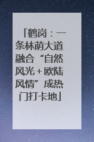 鹤岗：一条林荫大道融合“自然风光＋欧陆风情”成热门打卡地