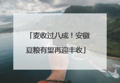 麦收过八成！安徽夏粮有望再迎丰收