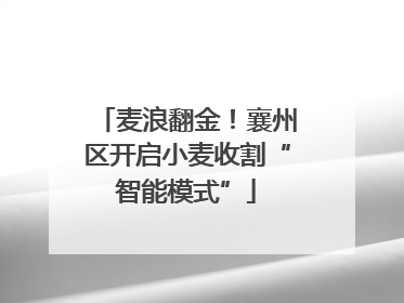 麦浪翻金！襄州区开启小麦收割“智能模式”