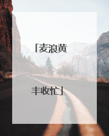 麦浪黄 丰收忙