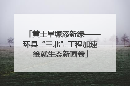 黄土旱塬添新绿——环县“三北”工程加速绘就生态新画卷