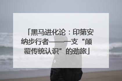 黑马进化论：印第安纳步行者——一支“颠覆传统认识”的劲旅