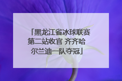 黑龙江省冰球联赛第二站收官 齐齐哈尔兰迪一队夺冠