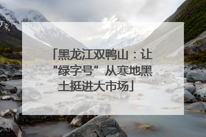 黑龙江双鸭山：让“绿字号”从寒地黑土挺进大市场