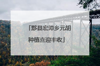 黟县宏潭乡元胡种植喜迎丰收