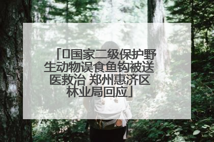 ﻿国家二级保护野生动物误食鱼钩被送医救治 郑州惠济区林业局回应