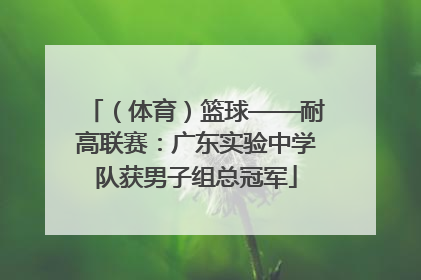 （体育）篮球——耐高联赛：广东实验中学队获男子组总冠军