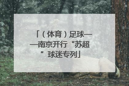 （体育）足球——南京开行“苏超”球迷专列