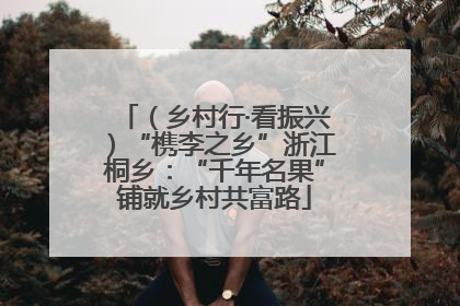 （乡村行·看振兴）“槜李之乡”浙江桐乡：“千年名果”铺就乡村共富路