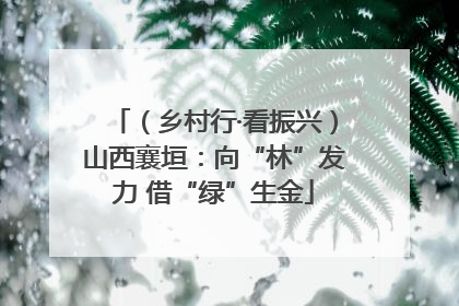 （乡村行·看振兴）山西襄垣：向“林”发力 借“绿”生金