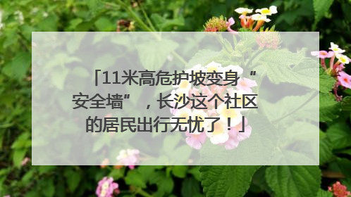 11米高危护坡变身“安全墙”，长沙这个社区的居民出行无忧了！