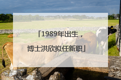 1989年出生，博士洪欣拟任新职