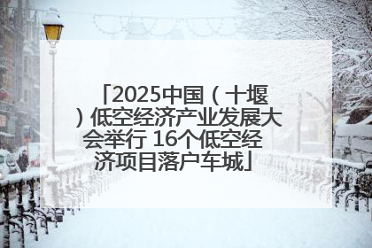 2025中国（十堰）低空经济产业发展大会举行 16个低空经济项目落户车城