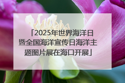 2025年世界海洋日暨全国海洋宣传日海洋主题图片展在海口开展