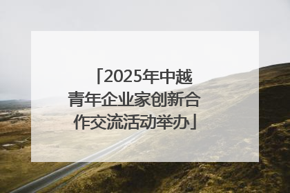 2025年中越青年企业家创新合作交流活动举办