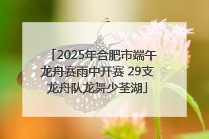 2025年合肥市端午龙舟赛雨中开赛 29支龙舟队龙舞少荃湖