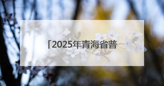 2025年青海省普通高校招生考试排序成绩一分一段统计表