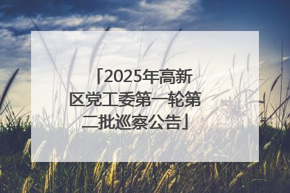 2025年高新区党工委第一轮第二批巡察公告