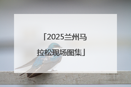2025兰州马拉松现场图集