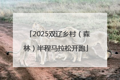 2025双辽乡村（森林）半程马拉松开跑