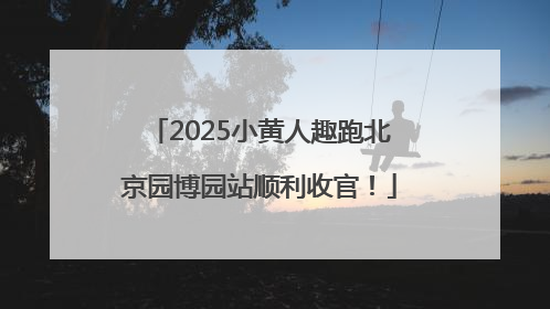 2025小黄人趣跑北京园博园站顺利收官！