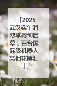 2025武汉端午消费季蔡甸启幕，百台国际级机器人亮相花博汇
