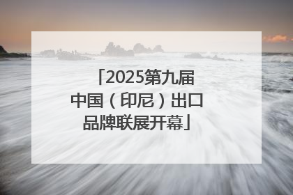 2025第九届中国（印尼）出口品牌联展开幕