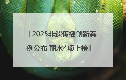 2025非遗传播创新案例公布 丽水4项上榜