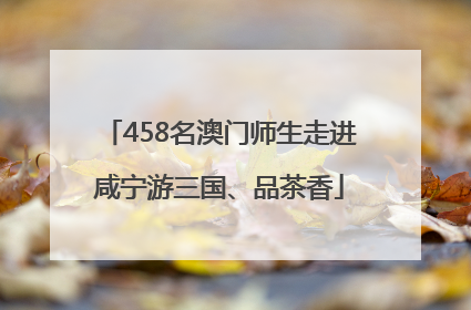 458名澳门师生走进咸宁游三国、品茶香