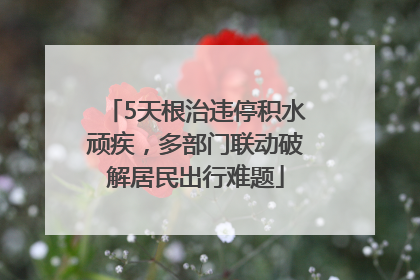5天根治违停积水顽疾，多部门联动破解居民出行难题