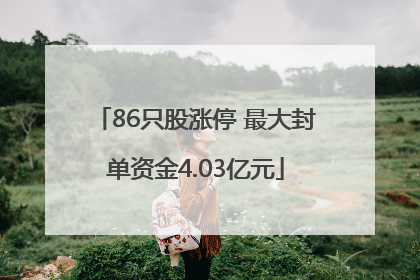 86只股涨停 最大封单资金4.03亿元