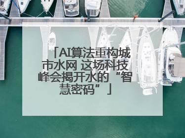 AI算法重构城市水网 这场科技峰会揭开水的“智慧密码”