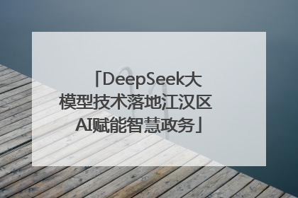 DeepSeek大模型技术落地江汉区 AI赋能智慧政务